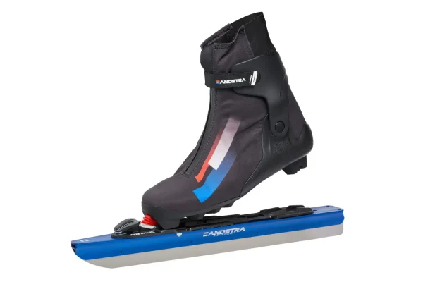 Zandstra 4163 Nordic Race